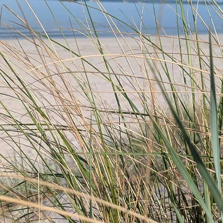 Reusenhaus Sued Dom wakacyjny *